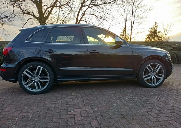 Audi SQ5 cena 89900 przebieg: 190000, rok produkcji 2013 z Pasym małe 352